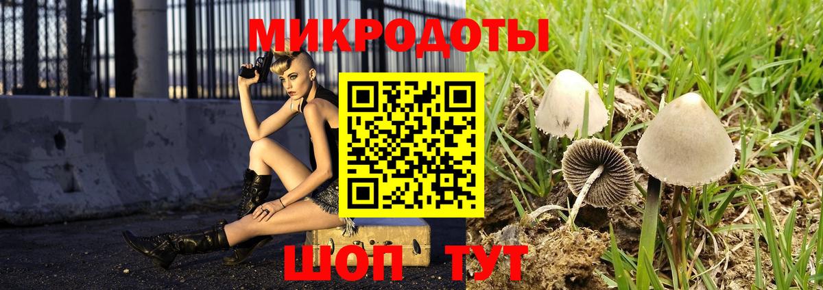 Галлюциногенные грибы Cubensis Корсаков
